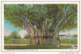 Florida Key West Banyan Tree At The Barracks Curteich - Key West & The Keys