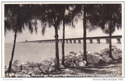 Florida Keys 7 Mile Bridge Seen From Pigeon Key Overseas Highway To Key West Real Photo - Key West & The Keys