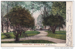 New York Syracuse Scene In Forman Park 1905 - Syracuse