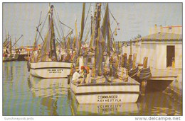 Florida Key West Shrimp Boats Commander And Island City 1958 - Key West & The Keys