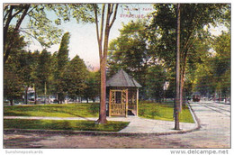 New York Syracuse Scene In Walnut Park 1908 - Syracuse