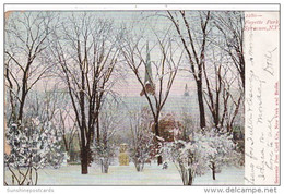 New York Syracuse Winter Scene In Fayette Park 1906 - Syracuse