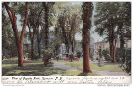 New York Syracuse View Of Fayette Park 1906 - Syracuse