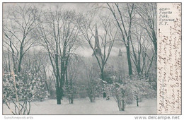 New York Syracuse Winter In Fayette Park 1906 - Syracuse