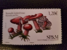 Saint Pierre Miquelon 2021 Mushroom RUSSULE PIED ROSE Pilz Champignon Russula 1v - Unused Stamps