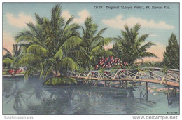 Florida Fort Lauderdale Tropical Largo Vista 1946 Curteich - Fort Lauderdale