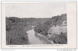 New York Rochester View Of The Gorge From Driving Park Avenue Bridge - Rochester