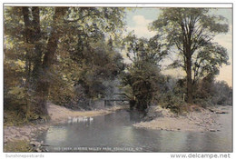 New York Rochester Red Creek In Genesee Valley Park 1911 - Rochester