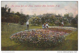 New York Rochester The Pansy Bed And Lilacs In Highland Park 1907 - Rochester
