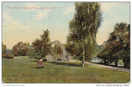 New York Rochester Bird House In Seneca Park 1910 - Rochester