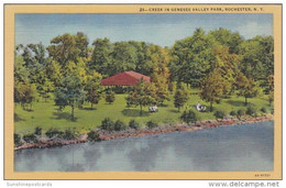 New York Rochester Creek In Genesee Valley Park Curteich - Rochester