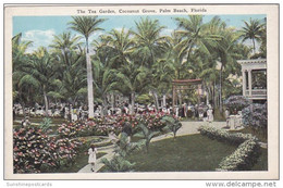 Florida Palm Beach The Tea Garden Cocoanut Grove - Palm Beach