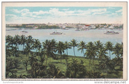 Florida Birds Eye View From Royal Poinciana Showing Lake Worth And West Palm Beach Curteich - West Palm Beach