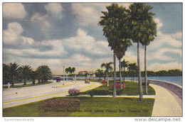 Florida Tampa Tropical Bayshore Boulevard Along Tampa Bay Curteich - Tampa