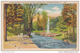 New York Saratoga Springs Island Spouter The Valle Of Springs Curteich - Saratoga Springs