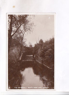 CPA PHOTO  CARDIFF,  THE WATERFALL,  ROATH PARK LAKE   (voir Timbre) - Cardiganshire