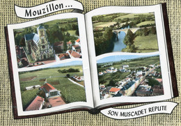 11224 Cpsm 44 Mouzillon - Multivues - Sonstige Gemeinden