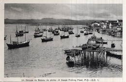 CPA   CANADA     UN GROUPE DE BATEAU DE PECHE--A GASPE - Gaspé