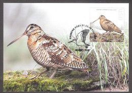 The Eurasian Woodcock - Bird Of The Year 2022 Estonia  Stamp Maxicard Mi 1038 - Unclassified