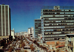 LA PAZ : Paseo Del Prado (Av. 16 De Julio) - Bolivie