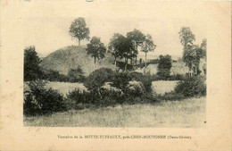 Pioussay * Tumulus De La Motte Tuffault * Près Chef Boutonne - Other & Unclassified