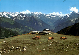 Luftseilbahn Lungern-Schönbüel - Berghotel Bellevue, Alp Und Sporthotel (182) * 31. 7. 1989 - Lungern