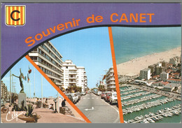 CPM 66 - Canet Plage - La Plage - Avenue De La Méditerranée - Vue Générale - Canet En Roussillon