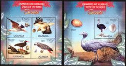 Uganda 2013 Birds Sheet + S/S MNH - Uganda (1962-...)