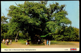 Nottinghamshire Major Oak In Sherwood Forest 1982 Dennis - Andere & Zonder Classificatie