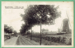 Hoogstraten - Zicht Aan Den Molen En St.Leonardsche Baan - Hoogstraeten - Hoogstraten