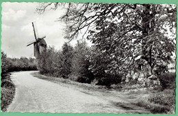 Bouwel - Echelpoel - Molen - 1979 - Grobbendonk