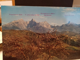 Cartolina Lunigiana Provincia Massa Carrara  Le Alpi Apuane 1971 - Massa