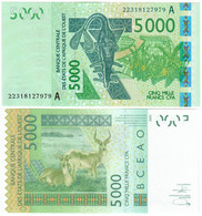 Côte D'Ivoire (Ivory Coast) 5000 Francs CFA 2003 (2022) UNC "A" - Costa D'Avorio