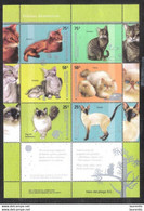 222  Cats - Chats - Argentina Yv 2532-37 - MNH - 2,75 - Domestic Cats