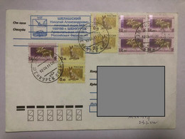 Russia Cover Send To China,2006 Animals - Lettres & Documents