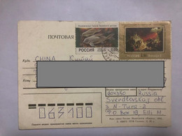 Russia Cover Send To China With Stamps,fish,painting - Briefe U. Dokumente