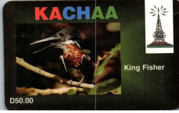 31388 - Gambia - Kachaa , Kind Fisher , Vogel , Bird - Gambie