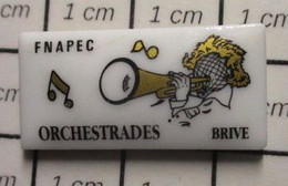 1917 Pin's Pins / Beau Et Rare / THEME : MUSIQUE / FNAPEC ORCHESTRADES BRIVE Pin's En Porcelaine De Limoges - Musique