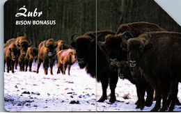 31610 - Polen - TP , Zubr , Bison - Poland