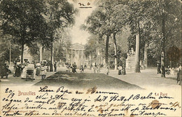 038 428 - CPA - Belgique - Bruxelles - Le Parc - Bosques, Parques, Jardines