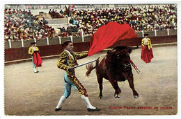 Torero Vicente Pastor Pasando De Muleta - Corrida - Corrida