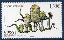 St Pierre Et Miquelon 2020 - Champignons, Coprin Chevelu - 1 Val Neuf // Mnh - Unused Stamps