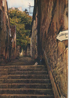 SALINS LES BAINS ESCALIER SAINT ANATOILE 1968 - Sonstige & Ohne Zuordnung