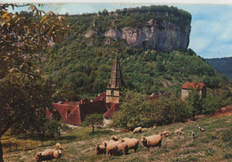 BAUME LES MESSIEURS L'ABBAYE MOUTONS 1971 - Baume-les-Messieurs