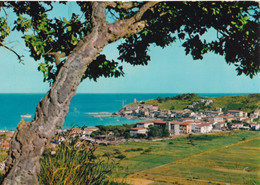 Marina Di Campo - Panorama - Idola D'elba - Formato Grande Viaggiata – FE390 - Livorno