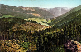 Photochromie AK Riesengebirge Im Sommer St Sankt Peter Svaty Petr Spindlermühle Spindleruv Mlyn Leipelt Warmbrunn 4150 - Sudeten