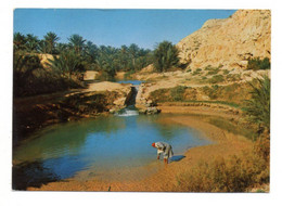 Tunisie --GABES --- L'oasis  (  Animée).....beaux Timbres......cachet...à Saisir - Tunesien