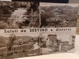Cartolina Saluti Da Sestino E Dintorni Prov Arezzo ,la Cascatella,Pontepalazzolo,Presciano, Anni 60 - Arezzo