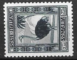 Somalia Ostrich Autruche Bird Mint No Gum 1932 (30 Euros) - Somalia