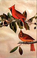 Kentucky Henderson Audubon Memorial Museum The Cardinal - Henderson